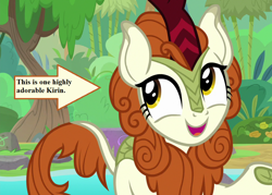 Size: 1008x720 | Tagged: safe, edit, edited screencap, screencap, autumn blaze, sounds of silence, arrow, awwtumn blaze, captain obvious, cropped, cute, forest, smiling, text, truth