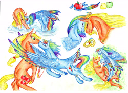 Size: 6876x5000 | Tagged: safe, artist:dawn22eagle, derpibooru import, applejack, rainbow dash, earth pony, pegasus, pony, absurd resolution, appledash, female, lesbian, rainbow feathers, shipping, tail feathers, traditional art