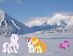 Size: 651x500 | Tagged: safe, derpibooru import, berry punch, berryshine, blossomforth, carrot top, fleur-de-lis, golden harvest, arctic tundra, irl, photo, ponies in places, ponies in real life, ponies in the forest, snow