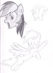 Size: 2296x3136 | Tagged: safe, artist:failduck, derpibooru import, rainbow dash, pegasus, pony, monochrome, solo, traditional art