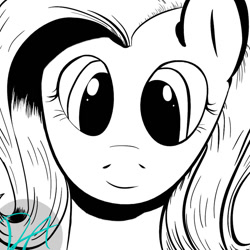 Size: 800x800 | Tagged: safe, artist:dark-ascent, fluttershy, pegasus, pony, female, mare, monochrome, solo