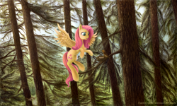 Size: 1800x1080 | Tagged: safe, artist:fantazerko, fluttershy, bird, pegasus, pony, detailed, forest, nest, scenery, scenery porn, solo