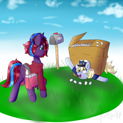 Size: 2133x2133 | Tagged: safe, artist:itwasscatters, derpy hooves, oc, oc:charming dazz, bag, box, diaper, grass, mail, mailbox, package, packing peanuts, simple background