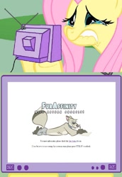 Size: 855x1241 | Tagged: safe, fluttershy, pegasus, pony, exploitable meme, fail, fluttercry, furaffinity, meme, obligatory pony, op has failed to start shit, tv meme