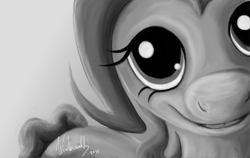 Size: 1829x1154 | Tagged: safe, artist:winternachts, pinkie pie, earth pony, pony, close-up, monochrome, smiling, solo