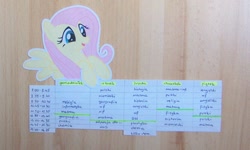 Size: 1024x616 | Tagged: safe, artist:oceanbreezebrony, artist:unkindangel, fluttershy, pegasus, pony, photo, polish, schedule, school, solo