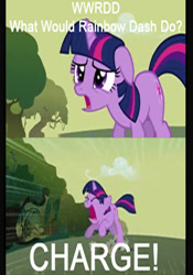 Size: 504x720 | Tagged: safe, derpibooru import, screencap, twilight sparkle, feeling pinkie keen, charge, screencap comic