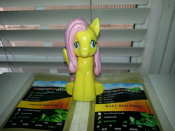 Size: 3264x2448 | Tagged: safe, fluttershy, bubble bath, drugs, irl, kratom, photo, sitting, solo, toy