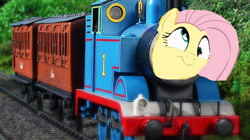 Size: 874x490 | Tagged: artist needed, source needed, safe, fluttershy, pegasus, pony, derp, female, fluttertrain, pink coat, pink mane, solo, thomas the tank engine, train
