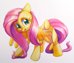 Size: 965x817 | Tagged: safe, artist:dawnfire, fluttershy, pegasus, pony, colored pupils, solo, traditional art