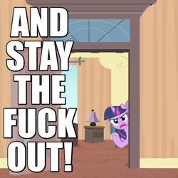 Size: 640x640 | Tagged: safe, derpibooru import, twilight sparkle, twilight sparkle (alicorn), alicorn, pony, rarity takes manehattan, angry, caption, door, female, gtfo, hotel room, image macro, mare, reaction image, solo, vulgar