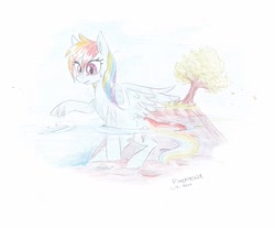 Size: 1024x846 | Tagged: safe, artist:pixernosse, derpibooru import, rainbow dash, pegasus, pony, solo, traditional art, water