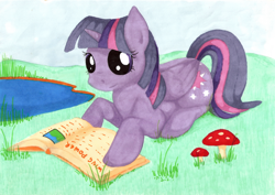 Size: 1024x724 | Tagged: safe, artist:shema-the-lioness, derpibooru import, twilight sparkle, twilight sparkle (alicorn), alicorn, pony, book, female, mare, reading, solo, traditional art