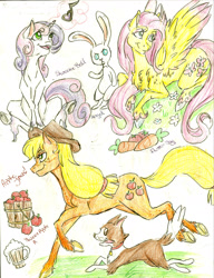 Size: 1698x2213 | Tagged: safe, artist:coraline-176, angel bunny, applejack, fluttershy, sweetie belle, winona, earth pony, pegasus, pony, apple, carrot, cider, sketch dump, traditional art