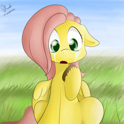 Size: 2000x2000 | Tagged: safe, artist:ando, fluttershy, pegasus, pony, crying, cute, day, grass, solo