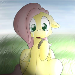 Size: 2000x2000 | Tagged: safe, artist:ando, fluttershy, pegasus, pony, crying, cute, found, night, solo