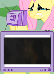 Size: 1022x1400 | Tagged: safe, fluttershy, kaiju, pegasus, pony, exploitable meme, ford brody, godzilla, godzilla (series), godzilla 2014, meme, obligatory pony, sad, tv meme