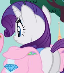 Size: 544x618 | Tagged: safe, screencap, rarity, parasprite, pony, unicorn, swarm of the century, cropped, female, mare, plot, saddle bag, solo