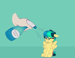 Size: 1069x820 | Tagged: safe, artist:shinodage, derpibooru import, edit, oc, oc only, oc:apogee, human, pegasus, pony, apogee getting sprayed, bad pony, behaving like a bird, chest fluff, cute, diageetes, disembodied hand, eyes closed, female, filly, floppy ears, fluffy, hand, mare, shrinking, shrinking potion, solo, solo focus, spray bottle, wet