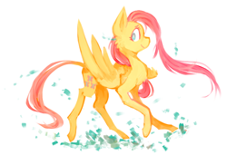 Size: 852x584 | Tagged: safe, artist:the-doodle-queen, fluttershy, pegasus, pony, female, mare, pink mane, solo, yellow coat