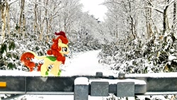 Size: 2048x1152 | Tagged: safe, artist:hihin1993, autumn blaze, bridge, forest, irl, japan, photo, plushie, river, scenery, snow, solo, winter