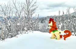 Size: 2015x1298 | Tagged: safe, artist:hihin1993, autumn blaze, forest, hill, irl, japan, photo, plushie, scenery, snow, solo, winter