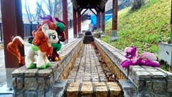 Size: 2048x1152 | Tagged: safe, artist:hihin1993, autumn blaze, cheerilee, cinder glow, summer flare, hot springs, irl, japan, path, pavement, photo, plushie