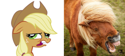 Size: 794x360 | Tagged: safe, applejack, earth pony, pony, comparison, face, faic, floppy ears, horse yawn, horses doing horse things, real pony, shetland pony, silly, silly pony, who's a silly pony, yawn