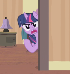 Size: 414x440 | Tagged: safe, derpibooru import, screencap, twilight sparkle, twilight sparkle (alicorn), alicorn, pony, rarity takes manehattan, angry, bangs, cropped, door, female, frown, manefair hotel, manehattan, mare, open mouth, reaction image, solo, uvula, yelling, you're welcome