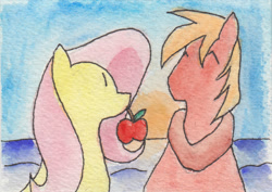 Size: 1041x739 | Tagged: safe, artist:forwardbiaspony, artist:jimthecactus, big macintosh, fluttershy, earth pony, pegasus, pony, apple, fluttermac, male, shipping, stallion, straight, traditional art