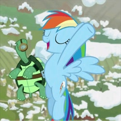 Size: 1080x1080 | Tagged: safe, derpibooru import, screencap, rainbow dash, tank, pegasus, pony, tanks for the memories, armpits