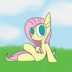 Size: 1024x1024 | Tagged: safe, artist:mr. rottson, fluttershy, pegasus, pony, female, mare, sitting, solo