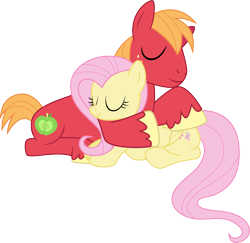 Size: 2609x2541 | Tagged: safe, artist:kaylathehedgehog, artist:mactavish1996, big macintosh, fluttershy, earth pony, pegasus, pony, cuddling, fluttermac, male, shipping, simple background, sleeping, snuggling, stallion, straight, transparent background, vector