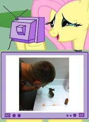 Size: 438x600 | Tagged: safe, fluttershy, human, rabbit, exploitable meme, irl, meme, obligatory pony, photo, soldier, tv meme