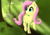 Size: 2000x1400 | Tagged: safe, artist:ntsevenfour, fluttershy, butterfly, pegasus, pony, female, mare, solo