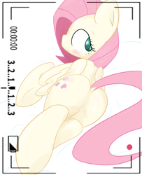 Size: 1260x1552 | Tagged: artist needed, source needed, safe, fluttershy, pegasus, pony, camera, camera shot, dock, plot, solo, viewfinder