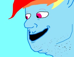 Size: 855x662 | Tagged: artist needed, safe, derpibooru import, rainbow dash, pegasus, pony, 1000 hours in ms paint, disguise, incognito, ms paint, smiling, solo, wat