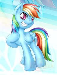 Size: 900x1193 | Tagged: safe, artist:ikuvaito, derpibooru import, rainbow dash, pegasus, pony, female, mare, solo, zoom layer