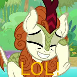 Size: 600x600 | Tagged: safe, edit, edited screencap, screencap, autumn blaze, kirin, sounds of silence, cropped, female, joke, laughing, lol, meme, simple background