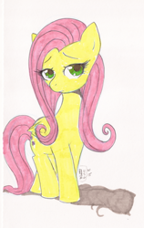 Size: 632x1000 | Tagged: safe, artist:tsukiko-chan, fluttershy, pegasus, pony, female, mare, sketch, solo