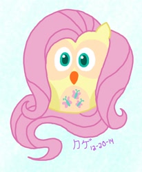 Size: 1054x1280 | Tagged: safe, artist:kagebouzu, fluttershy, owl, pun, solo, species swap