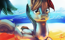 Size: 6000x3712 | Tagged: safe, artist:alumx, derpibooru import, rainbow dash, pegasus, pony, absurd resolution, looking at you, open mouth, palm tree, solo, tree, underhoof