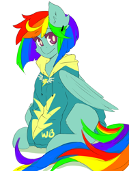 Size: 800x1061 | Tagged: safe, artist:pachiiri, derpibooru import, rainbow dash, pegasus, pony, alternate hairstyle, clothes, solo, sweater, wonderbolts