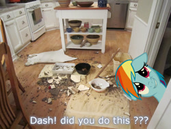 Size: 1024x768 | Tagged: safe, artist:naruto46r, derpibooru import, rainbow dash, broken, dishes, irl, kitchen, mess, offscreen character, photo, ponies in real life, text, vector