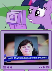 Size: 563x769 | Tagged: safe, derpibooru import, twilight sparkle, squirrel, exploitable meme, meme, obligatory pony, tv meme, wat