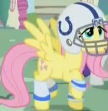 Size: 214x220 | Tagged: safe, screencap, fluttershy, pegasus, pony, american football, football helmet, helmet, indianapolis colts, nfl, super bowl, super bowl xlix