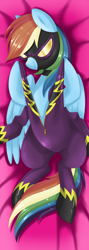 Size: 1024x2882 | Tagged: safe, artist:okapifeathers, derpibooru import, rainbow dash, pegasus, pony, body pillow, body pillow design, clothes, costume, female, mare, shadowbolts costume, smiling, solo, uniform