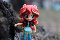 Size: 6000x4000 | Tagged: safe, artist:artofmagicpoland, sunset shimmer, equestria girls, doll, equestria girls minis, toy, tree