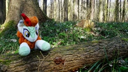 Size: 1917x1080 | Tagged: safe, autumn blaze, awwtumn blaze, cute, forest, irl, photo, plushie