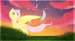 Size: 1213x662 | Tagged: safe, artist:flow3r-child, fluttershy, pegasus, pony, feather, solo, sunset